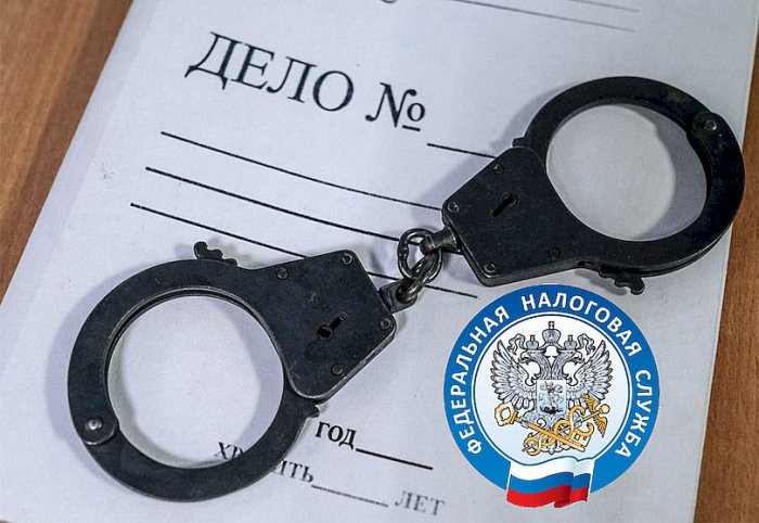 ФНС проинформировала, как предотвращается уклонение от налогов