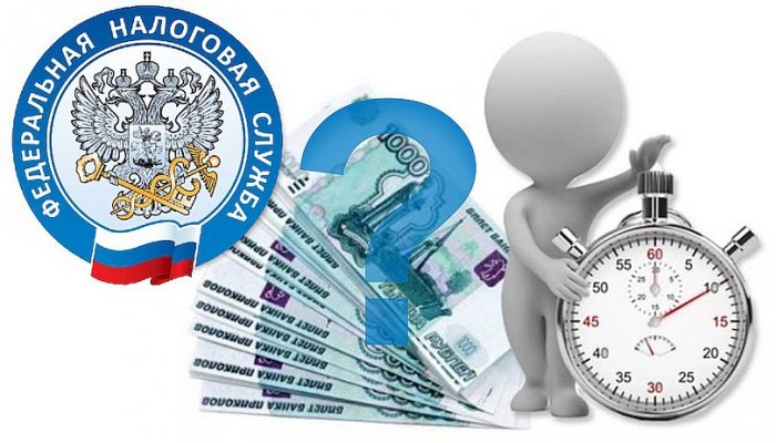 ФНС запустила новый сервис