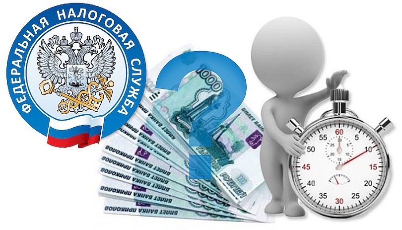 ФНС запустила новый сервис ФНС запустила новый сервис